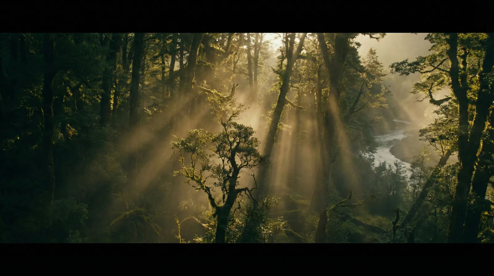 九一吃瓜导航 | 九一吃瓜官方入口~热点九一吃瓜分享平台 自然纪录片风格调色案例